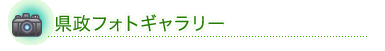�����t�H�g�M�������[