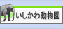 �������퓮����