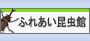 �ӂꂠ��������