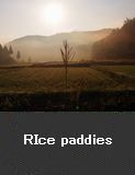 Rice paddies, Noto Town