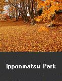 Ipponmatsu Park