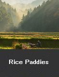 Rice paddies, Nanao City