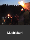 Mushiokuri, torch procession to drive away crop-eating insects, Kyonen, Suzu City.  Summer  Agricultural, Forestry and Fishery Industries Culture and Festivals