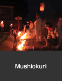 Mushiokuri, torch procession to drive away crop-eating insects, Kyonen, Suzu City. Summer Agricultural, Forestry and Fishery Industries Culture and Festivals