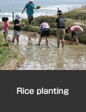 Shiroyone Senmaida rice planting by owners, Wajima City, Spring. Use and Conservation Initiative 