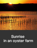 Sunrise in an oyster farm, Nanao Bay