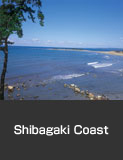 Shibagaki Coast, Hakui City