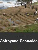 Shiroyone Senmaida, in Shiroyone Town, Wajima City, one of the best 100 rice terraces in Japan 