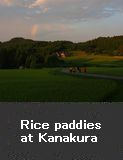 Rice paddies, Kanakura, Wajima City