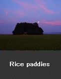 Rice paddies, Anamizu Town