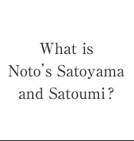 What is Noto's Satoyama and Satoumi