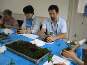 苔玉づくり