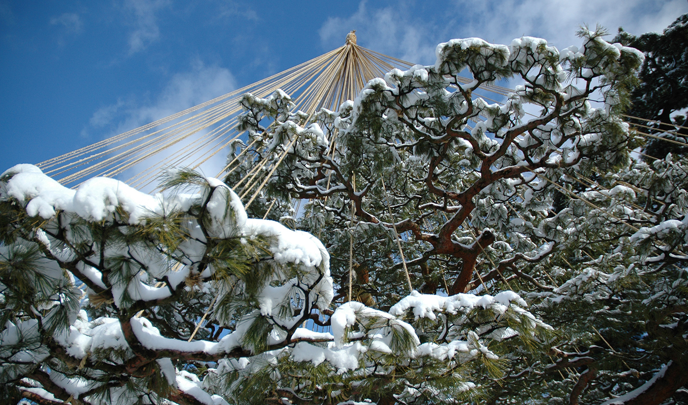 Pt winter06