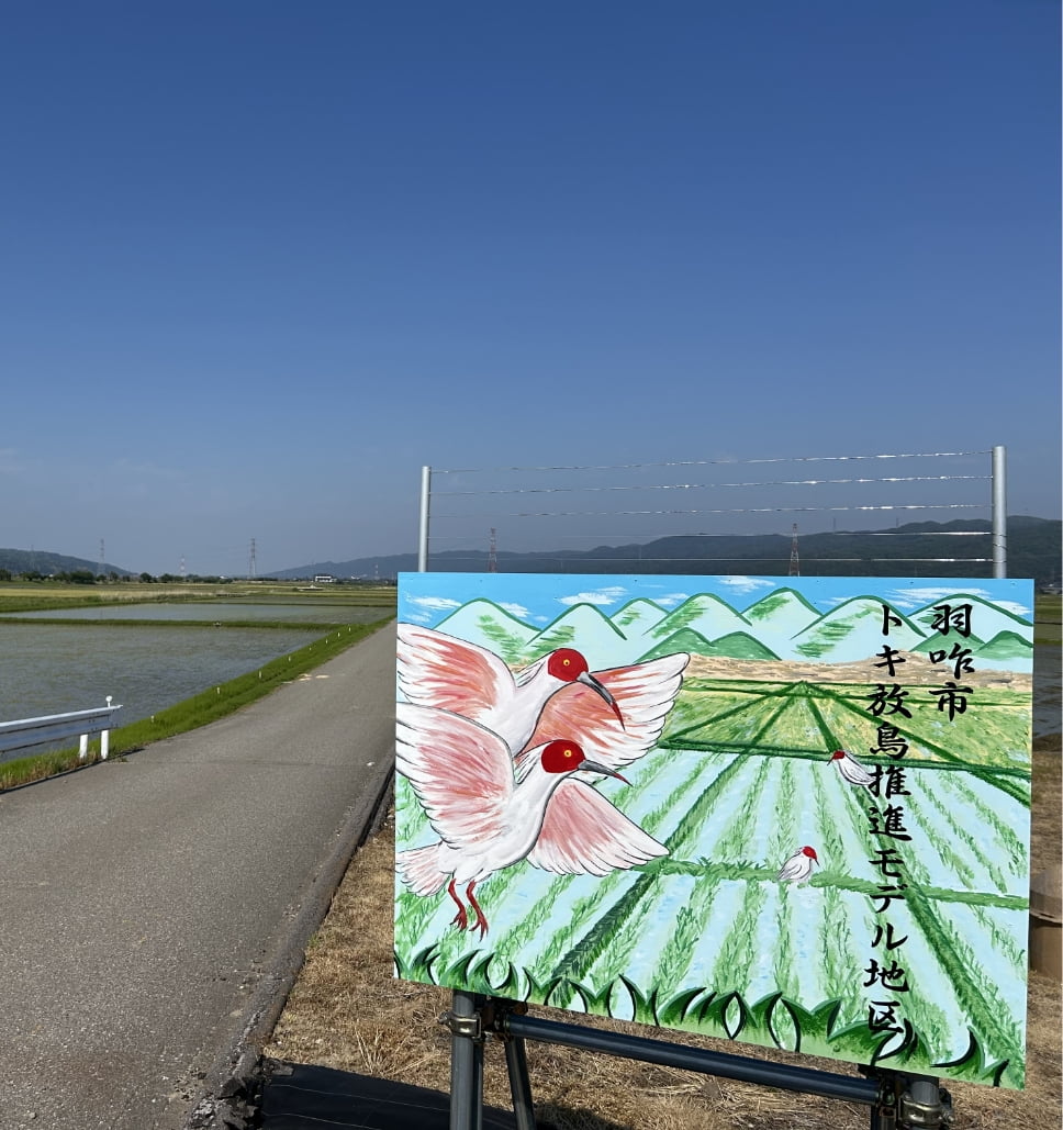 トキめく能登の未来米づくり「トキ放鳥推進モデル地区」