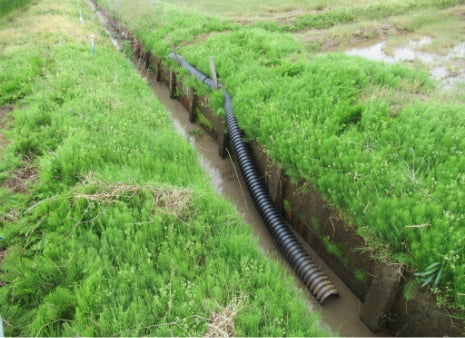 魚道（ぎょどう）の設置