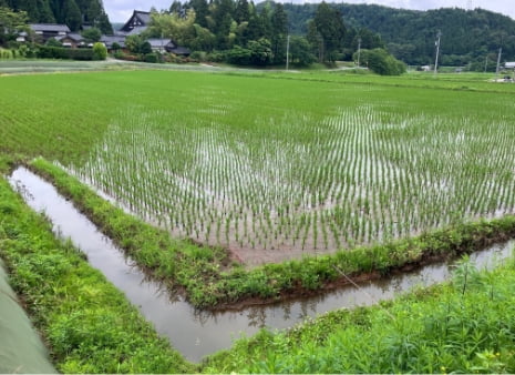江（え）の設置