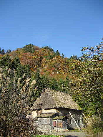 秋の長坂家