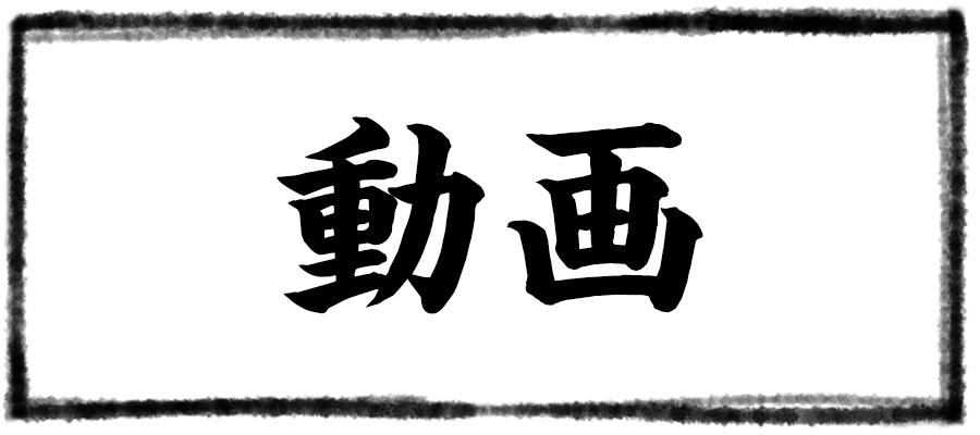 動画