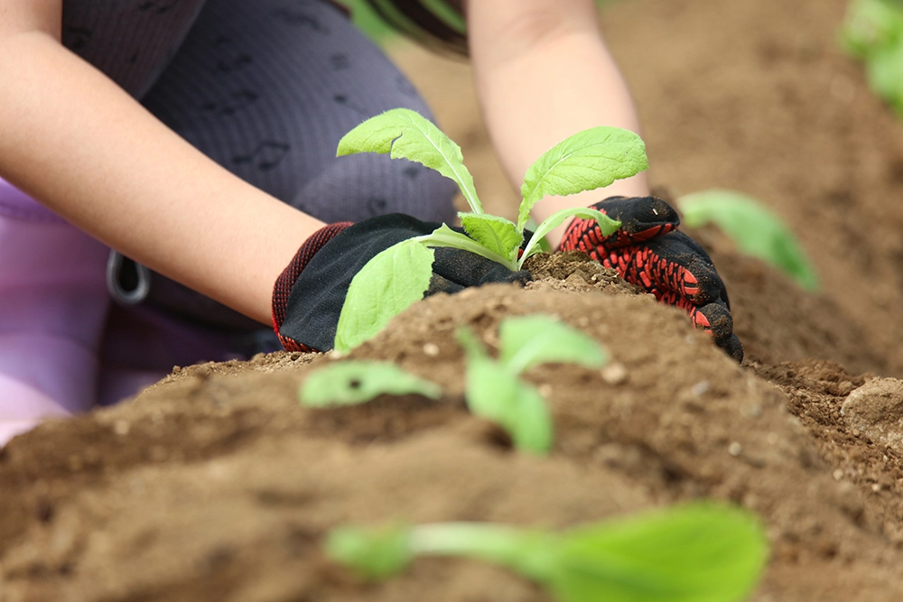 いじめ・不登校対策