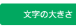 文字サイズ変更