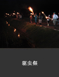 驱虫祭