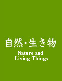 Nature and Living Things
