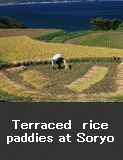 Terraced rice paddies at Soryo, Wajima City