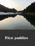 Rice paddies, Noto Town. Winter