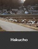 Hakucho,  Shika Town.