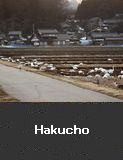 Hakucho,  Shika Town.