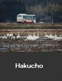 Hakucho, Suzu city
