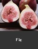 Fig, Houdatsushimizu Town