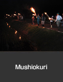 Mushiokuri, torch procession to drive away crop-eating insects, Kyonen, Suzu City. Summer Agricultural, Forestry and Fishery Industries Culture and Festivals