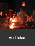 Mushiokuri, torch procession to drive away crop-eating insects, Kyonen, Suzu City.  Summer  Agricultural, Forestry and Fishery Industries Culture and Festivals