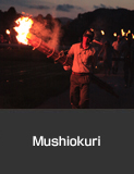 Mushiokuri, torch procession to drive away crop-eating insects, Kyonen, Suzu City. Summer Agricultural, Forestry and Fishery Industries Culture and Festivals