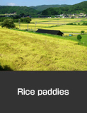 Rice paddies in Nakajima Town in Nanao City Autumn