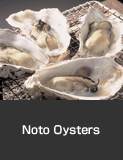 Noto Oysters. Winter