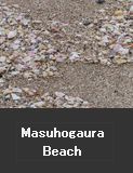 Masuhogaura Beach strewn with beautiful shells. Shika Town