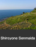 Shiroyone Senmaida, in Shiroyone Town, Wajima City, one of the best 100 rice terraces in Japan 