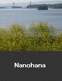 Nanohana, Nanao City 
