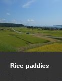 Rice paddies, Nanao Town