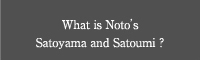 What is Noto's Satoyama and Satoumi