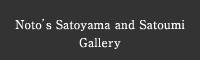 Noto's Satoyama and Satoumi Gallery