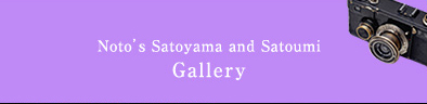 Noto's Satoyama and Satoumi Gallery