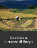 Le risaie a terrazze di Soryo