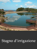 Stagno d'irrigazione