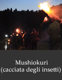 Mushiokuri(cacciata degli insetti)