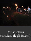 Mushiokuri(cacciata degli insetti)