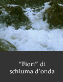 'Fiori' di schiuma d'onda