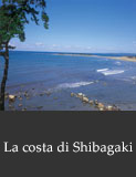 La costa di Shibagaki